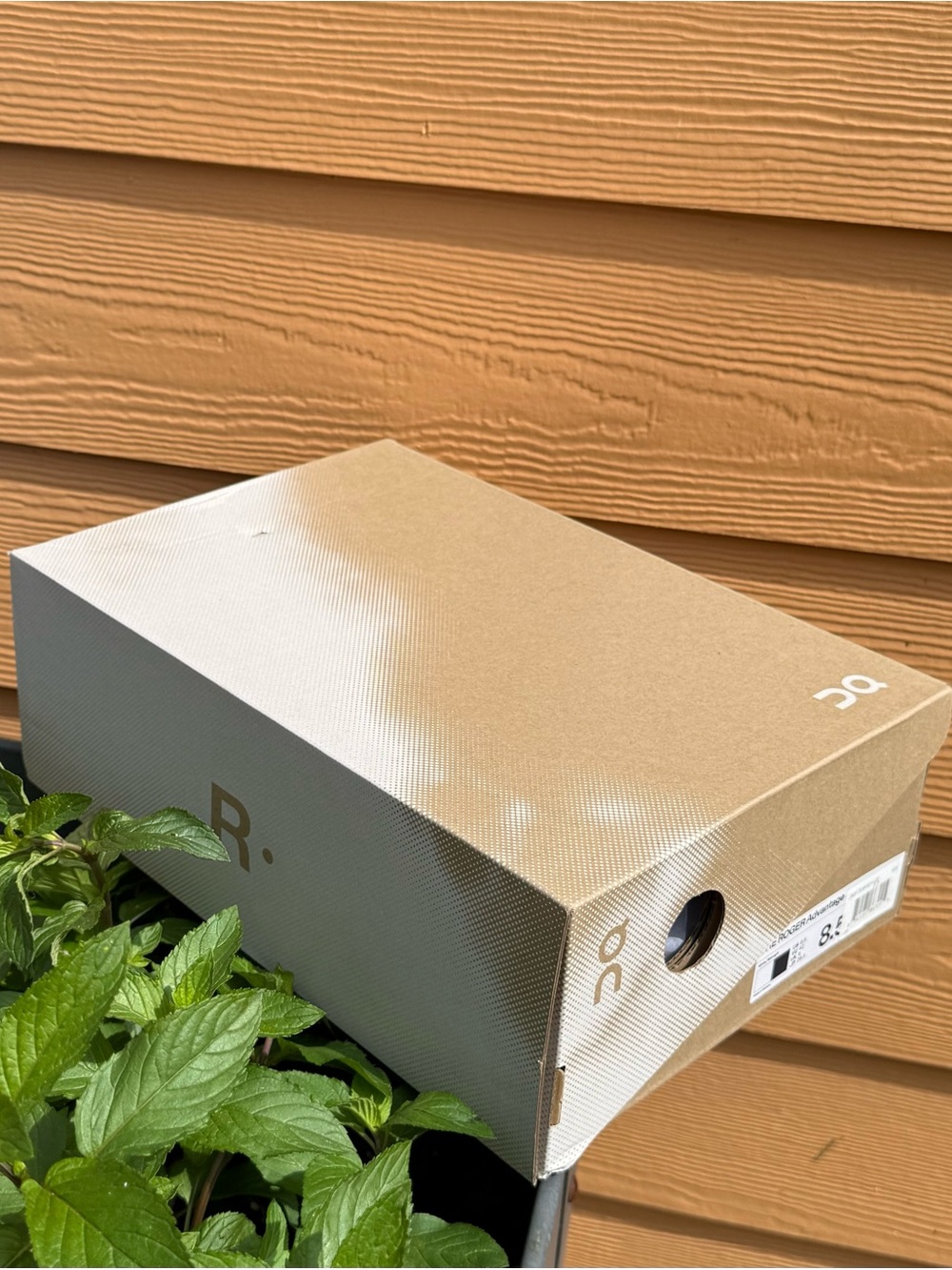 On Running empty Shoe Box - replacement for The Roger advantage 8.5